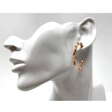 Brown Resin Circle Hoop Women&#39;s Earrings
