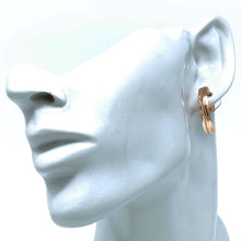 Rose Gold Hoop Costume Jewelry Earrings - Trending Earrings
